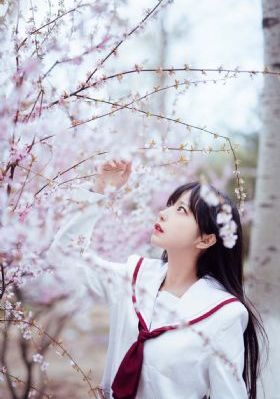 一眉道人高清国语免费